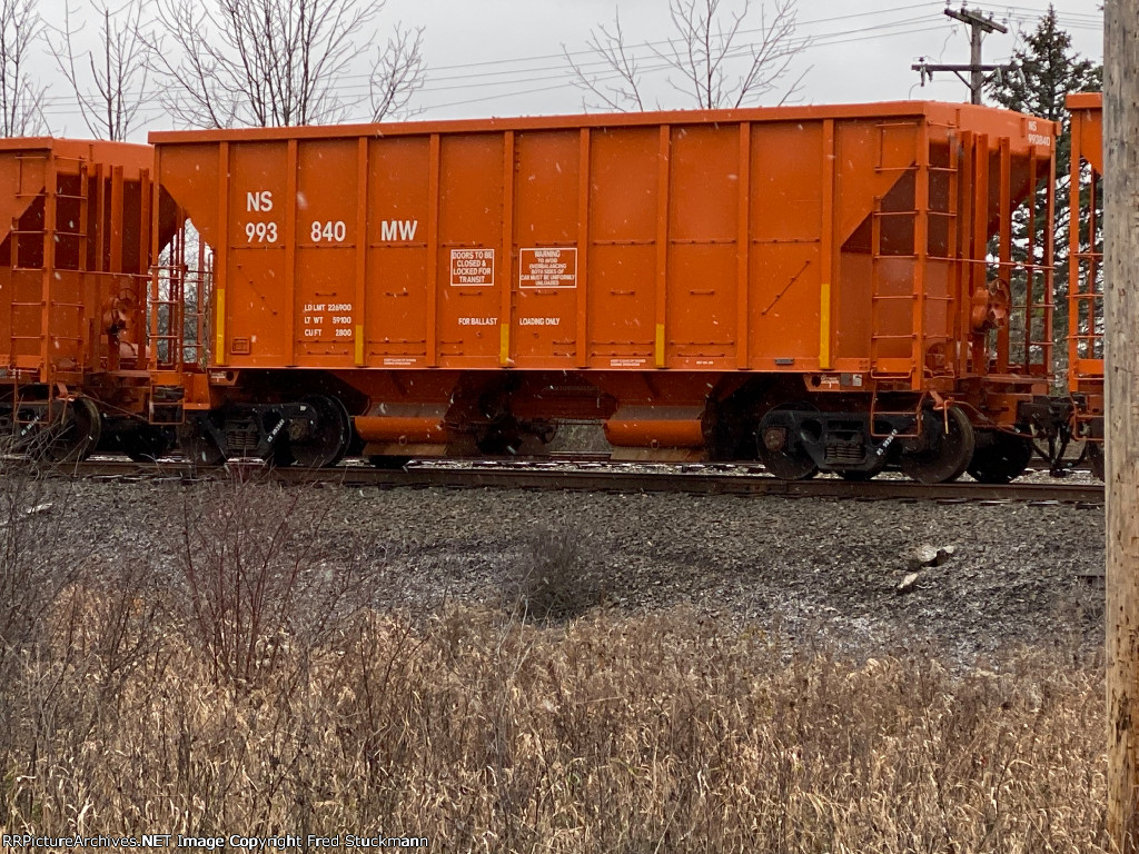 NS 993840 is new to rrpa.